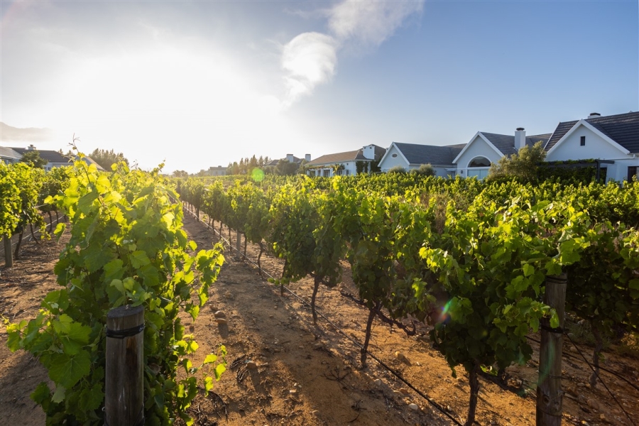 1 Bedroom Property for Sale in Val De Vie Estate Western Cape